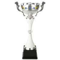 Кубок Победителей Украины Высота - 41 см