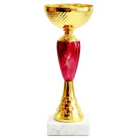 Кубок Висота - 20,5 см