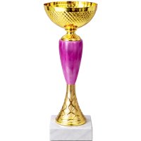 Кубок Висота - 20,5 см