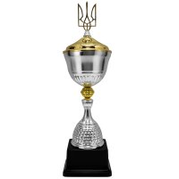 Кубок Высота - 45 см