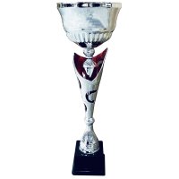 Кубок Высота - 47 см Кубок Высота - 47 см