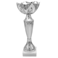 Кубок Висота - 23 см срібло