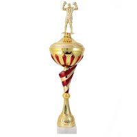 Кубок Бокс Висота - 55 см