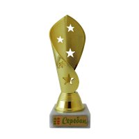 Кубок з зірками з нанесенням на замовлення