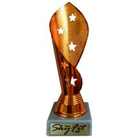 Кубок К1-60С бронза Высота - 17 см