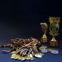 Медали и статуэтки под заказ