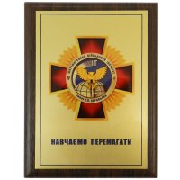 Диплом на металі Військовий Інститут