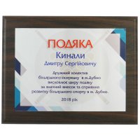 Диплом на металі з більярду