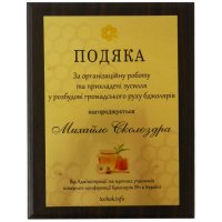 Диплом на металле Благодарность с нанесением на заказ