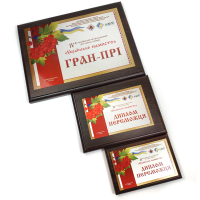 Дипломи з нанесенням на замовлення