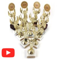 Статуэтки с нанесением на заказ