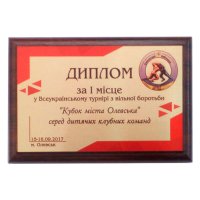 Диплом на металле (дерево) под заказ с нанесением размер 380*300 мм