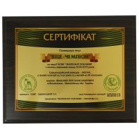 Сертификат на металле с нанесением на заказ