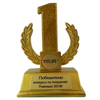 Приз награда 1-ое место Высота - 12 см с нанесением на заказ