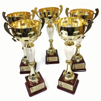 Кубок с нанесением на заказ Кубок с нанесением на заказ