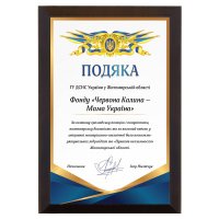 Диплом ДСНС