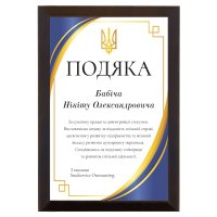 Диплом Подяка Іменна