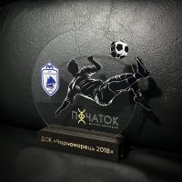 Индивидуальная награда с нанесением на заказ