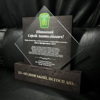 Індивідуальна нагорода з нанесенням на замовлення