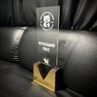 Индивидуальная награда с нанесением на заказ
