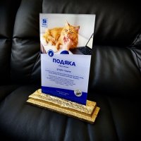 Індивідуальна нагорода з нанесенням на замовлення