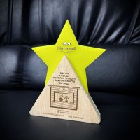 Индивидуальная награда с нанесением на заказ