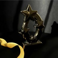 Приз награда Звезда под заказ