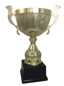 Кубок Висота - 36 см