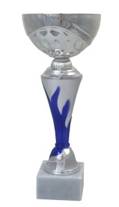 Кубок Висота - 21,5 см