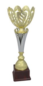 Кубок Висота - 36 см