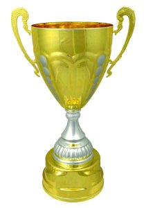 Кубок Висота - 31 см