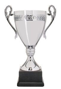 Кубок OWL висота - 32 см