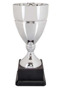 Кубок ALFA Высота - 24 см
