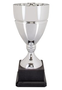 Кубок ALFA висота - 29 см
