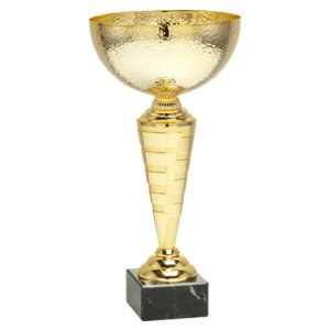 Кубок золото Висота - 24 см