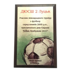 Диплом на металле