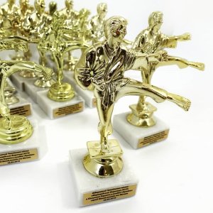 Статуэтки с нанесением на заказ