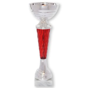 Кубок Высота - 24 см