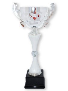 Кубок Высота - 33 см