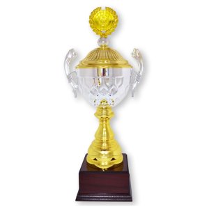 Кубок Футбол Висота - 46 см