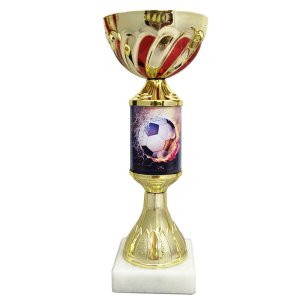 Кубок Футбол Огонь Высота - 22,5 см