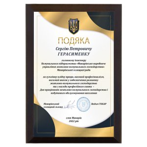 Диплом Головному інженеру