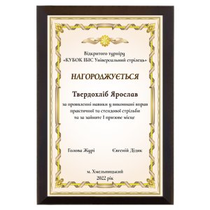 Диплом Кубок Ибис