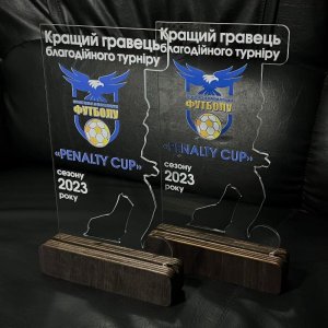 Индивидуальная награда с нанесением на заказ