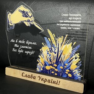 Индивидуальная награда с нанесением на заказ