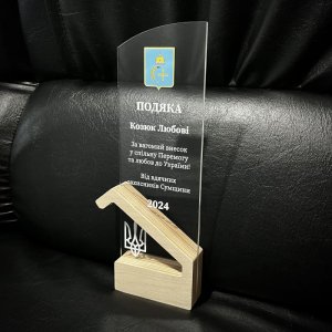 Индивидуальная награда с нанесением на заказ