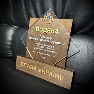 Индивидуальная награда с нанесением на заказ