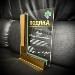 Индивидуальная награда с нанесением на заказ