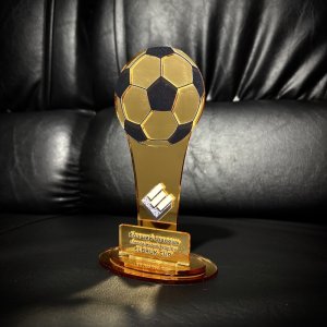 Індивідуальна нагорода з нанесенням на замовлення  Індивідуальна нагорода з нанесенням на замовлення