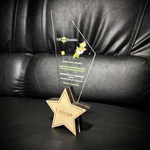 Індивідуальна нагорода з нанесенням на замовлення  Індивідуальна нагорода з нанесенням на замовлення